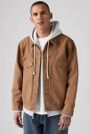 Levi's Western Shorthorn Trucker Jacket In Brown