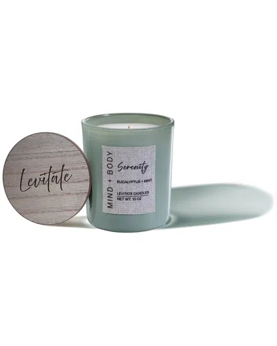 LEVITATE CANDLES LEVITATE CANDLES MIND + BODY: SERENITY - EUCALYPTUS & MINT