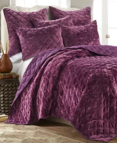 Levtex Ellora Velvet Quilt, King In Plum