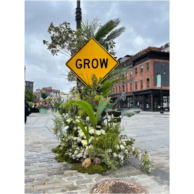 Lewis Miller Design Lewis Miller Grow Flower Flash Limited Edition Print In Multi