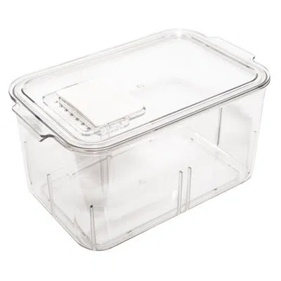 Lexi Home Acrylic Fridge Bin In Clear