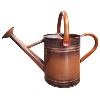 Lexi Home Watering Can Gardening Tools In Copper