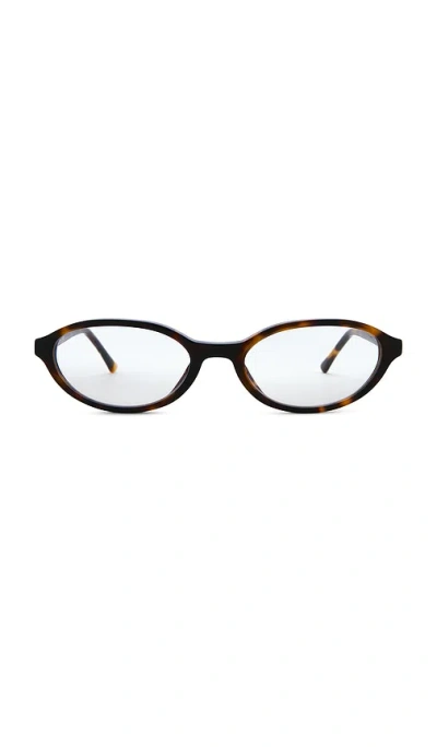Lexxola Mila Sunglasses In Brown