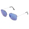 Lgr Silver Stainless Steel Sunglasses