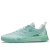 Li-ning Ellington Skateboarding Shoes 'green Blue'