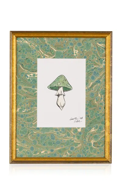 Lia Burke Libaire Green Mushroom Framed Photograph