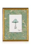 Lia Burke Libaire Green Mushroom Framed Photograph In Multi