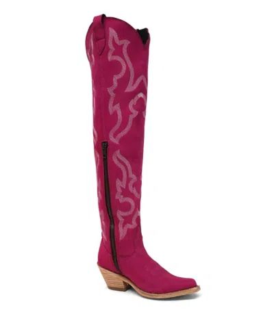 Liberty Black Women's Alyssa Tall Boots In Fuchsia In Pink
