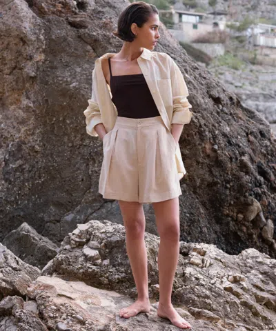 Lido Tre One Piece In Brown