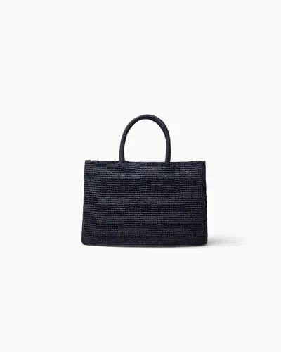 Lie Studio The Charlotte Raffia Bag Small In Navy