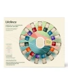LIFELINES EVERYDAY DIFFUSER AND FULL ESSENTIAL OIL BLENDS COLLECTION