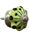 Lifestyle Brands Taj Hotel Knob-it 12-pack