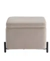 Lifestyle Solutions 24" Velvet Kyoto Small Storage Ottoman In Brown