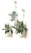 Light + Ladder Spora Hanging Planter & Maple Hook Set In Snow