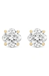 Lightbox 4-carat Cushion Cut Lab Grown Diamond Stud Earrings In Gold