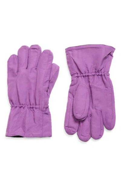 Lii Travel Gloves In Purple