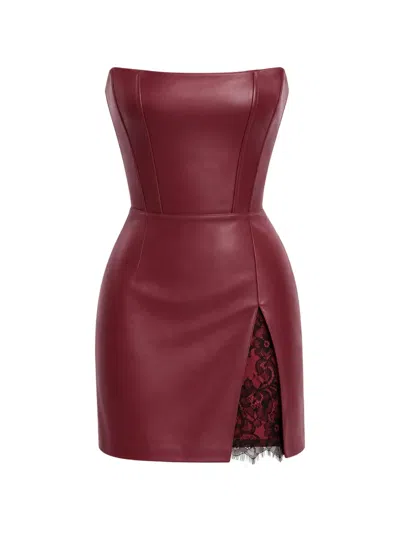Lika Lace-trim Mini Dress In Burgundy