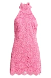 Likely Issa Mock Neck Lace Cocktail Dress In Pink Sugar