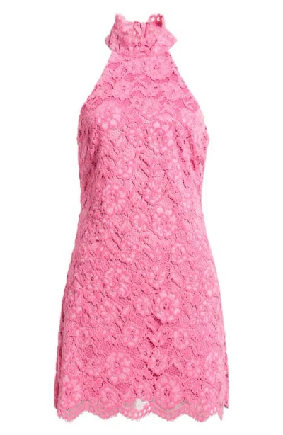 Likely Issa Mock Neck Lace Cocktail Dress In Pink Sugar