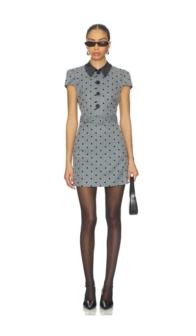 Likely Poppette Dress In Gray
