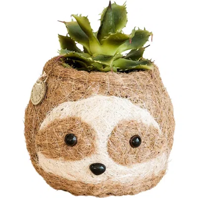 Likha Animal Head Coco Coir Planters In Brown
