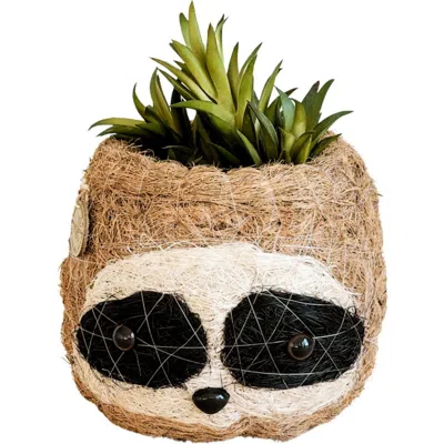 Likha Animal Head Coco Coir Planters In Brown