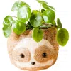 Likha Animal Head Coco Coir Planters In Brown