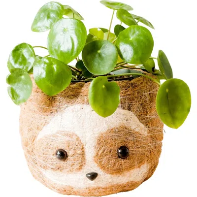 Likha Animal Head Coco Coir Planters In Brown