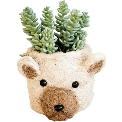 Likha Animal Head Coco Coir Planters In Neutral