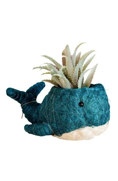 Likha Aquatic Animal Coco Coir Planters In Blue