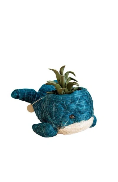 Likha Aquatic Animal Coco Coir Planters In Blue