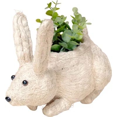 Likha Baby Bunny Handwoven Planter In White