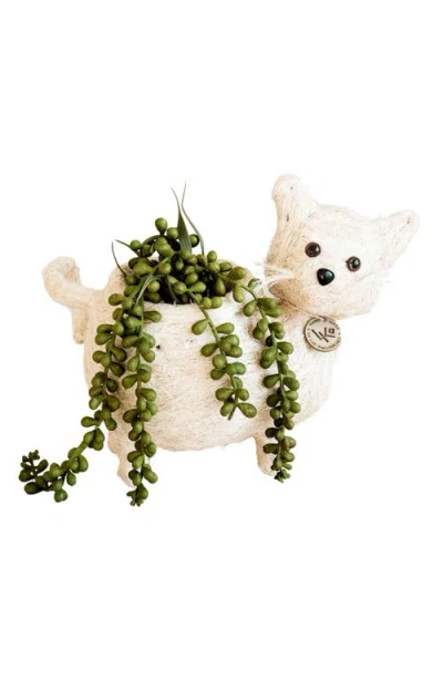 Likha Baby Cat Handwoven Planter In Neutral