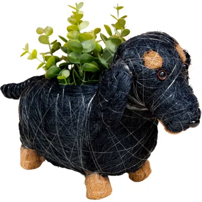 Likha Baby Dachshund Handwoven Planter In Black