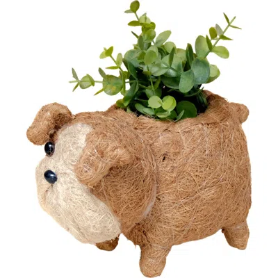 Likha Baby English Bulldog Handwoven Planter In Brown
