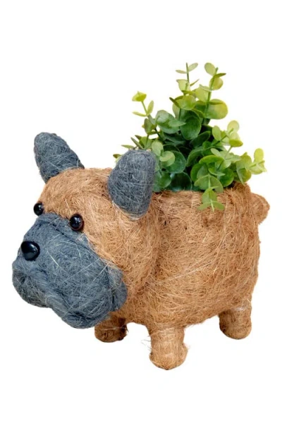 Likha Baby French Bulldog Handwoven Planter In Brown