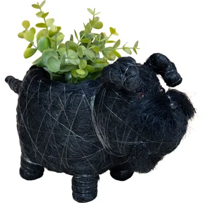 Likha Baby Schnauzer Handwoven Planter In Black