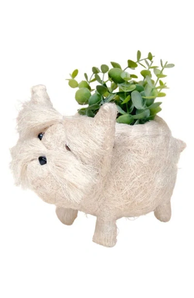 Likha Baby Westie Handwoven Planter In White