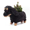 Likha Black Coco Coir Animal Planter Dachshund