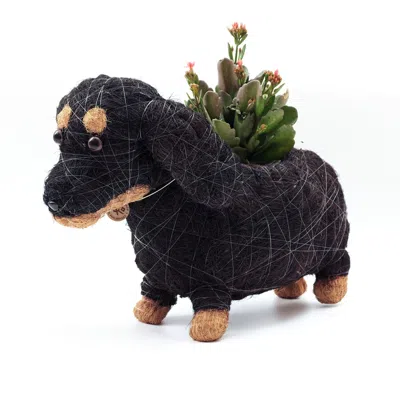Likha Black Coco Coir Animal Planter Dachshund