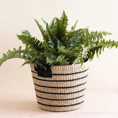 Likha Black Stripes Tapered Basket
