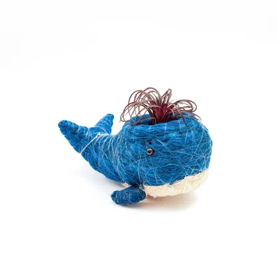 Likha Blue Coco Coir Animal Planter Baby Whale