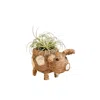 Likha Brown Baby Country Pig Animal Planter - Natural Coco Coir Mini Indoor Pot In Brown