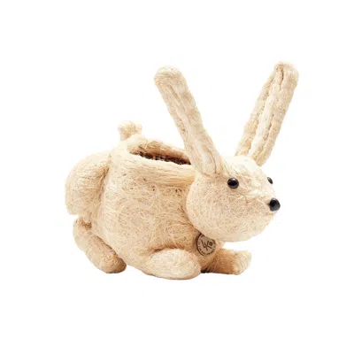 Likha Brown Coco Coir Animal Planter - Bunny