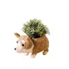 Likha Brown Coco Coir Animal Planter - Corgi Version Two In Brown