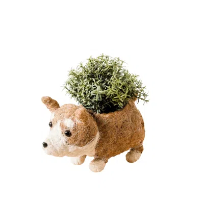 Likha Brown Coco Coir Animal Planter - Corgi Version Two