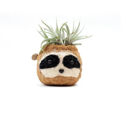 Likha Brown Coco Coir Animal Planter Mini Pot 3-tone Sloth Dark