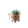 Likha Brown English Bulldog Planter - Coco Coir Pots Likhâ In Brown