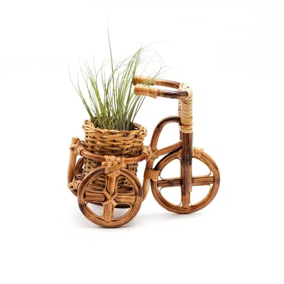 Likha Brown Rattan Bike Planter Medium