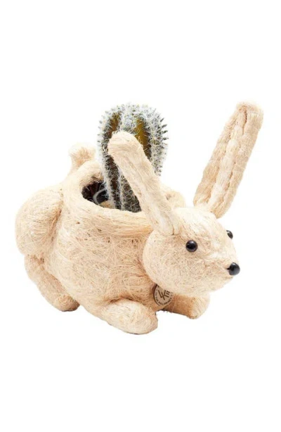 Likha Bunny Handwoven Planter In Neutral